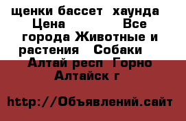 щенки бассет- хаунда › Цена ­ 20 000 - Все города Животные и растения » Собаки   . Алтай респ.,Горно-Алтайск г.